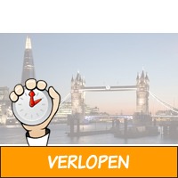 Bezoek de wereldstad Londen