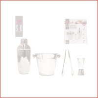 Luxe 4-delige RVS cocktailset