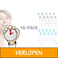 16-pack opzetborstels