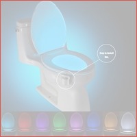 Toiletpot verlichting