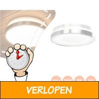 Osram buitenlamp voor wand of plafond