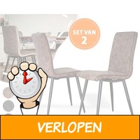 Set van 2 eetkamerstoelen