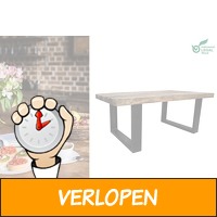 Robuuste eettafel of salontafel