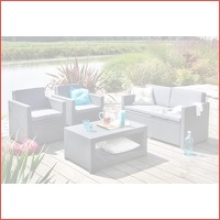 Luxe 12-delige Wicker loungeset