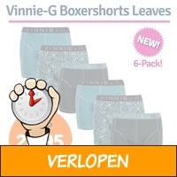 6-pack Vinnie-G Leaves boxershorts