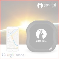 Gpsbird Tracking Device