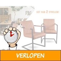 2 x industriele Swinger stoelen