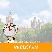 3 dagen 4* Den Bosch