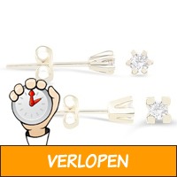 10K gouden oorbellen met diamant