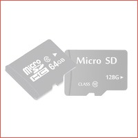 Micro SD Class 10