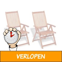 2 x vidaXL stoelen