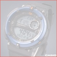 Casio Chronograph SGW-600H-2AER