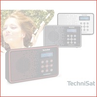 Technisat Techniradio 2 DAB + radio