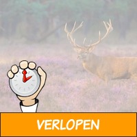 5 dagen Veluwe 4*