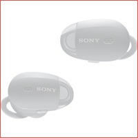 Sony WF-1000X