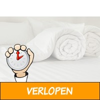 4-seizoenen dekbed