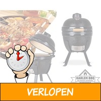 Keramische 14 inch Kamado barbecue