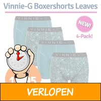 4-pack Vinnie-G Leaves boxershorts