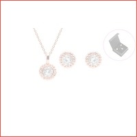 Set van oorbellen en ketting