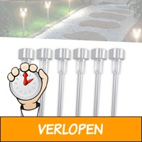 6 x Proline RVS tuinlampen