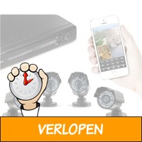 Veiling: CCTV Video Bewakingssysteem + 1TB HDD