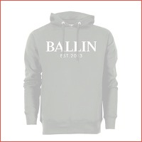 Ballin basic hoodie