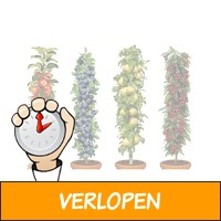 Veiling: Set van 4 winterharde fruitbomen