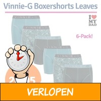 6-pack Vinnie-G Leaves boxershorts