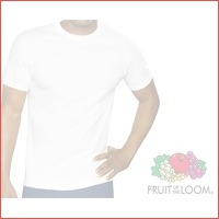 12-pack Fruit of the Loom T-shirts