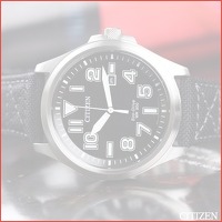 Citizen Eco-Drive | AW1410-24E