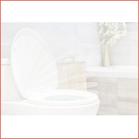 Afneembare soft-close toiletbril