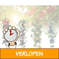 Set van 4 fruitbomen