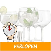 Luxe 8-delige Gin Tonic set