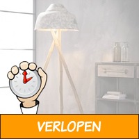 SPECIAL! Bamboe vloerlamp