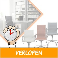 Ergonomische design bureaustoel