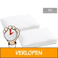 2 x anti-allergeen hoofdkussen