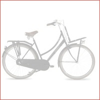 Avant Cargo transportfiets