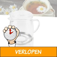 Hynez thee pot met warmhouder