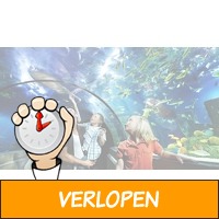 Ontdek Legoland en SEA LIFE