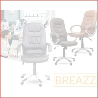 Breazz Director bureaustoel