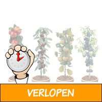 Set van 4 winterharde fruitbomen