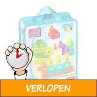 Veiling: Mega Bloks First Builders