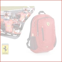 Ferrari rugtas