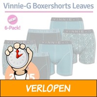 6-pack Vinnie-G Leaves boxershorts