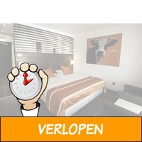 3 dagen 4*-Van der Valk bij Den Bosch