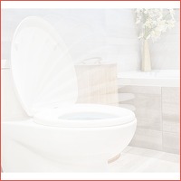 Afneembare soft-close toiletbril