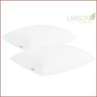 2 x Larson Comfort kussen