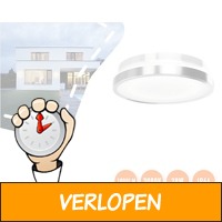 Osram buitenlamp voor wand of plafond