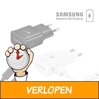 2 x Samsung snellader inclusief USB-kabel