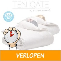 Ten Cate donzen 4-seizoenendekbed